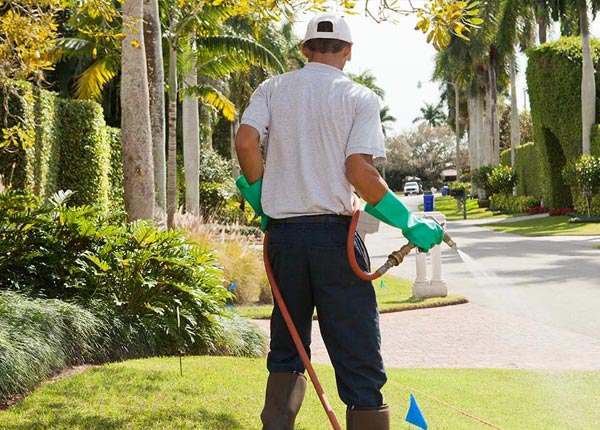 About Bunnell FL Pest Control